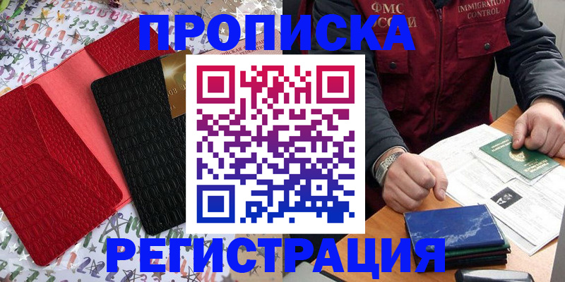 прописка штамп в Тереке